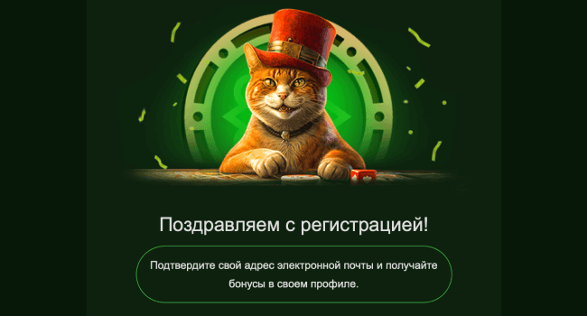 Подтвердите профиль Подтвердите профиль